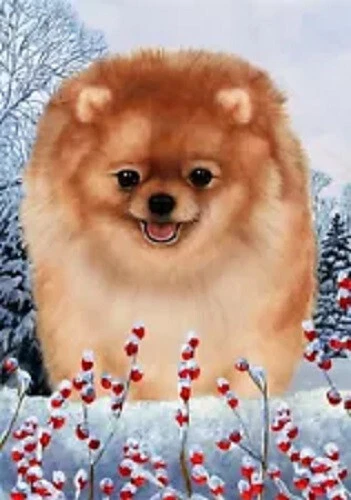 Winter House Flag - Orange Pomeranian 15331