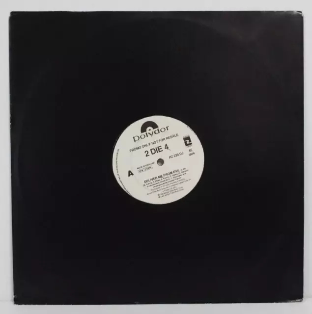 2 Die 4 Deliver Me From Evil 12” Single Promo - Near Mint 2