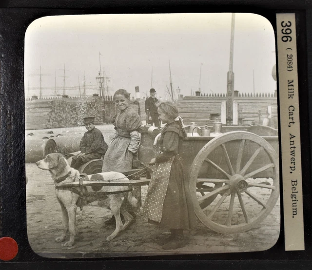 11-396 Magic Lantern Glass Slide Photo Milk Cart Antwerp Belgium