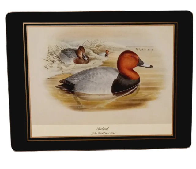 JOHN GOULD Duck Print  "POCHARD"  9"x 12" Lady Clare Made in England