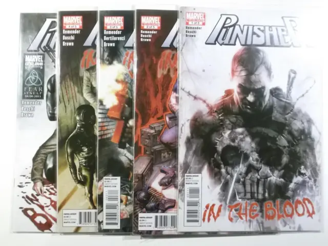 Punisher: In the Blood Heft 1 2 3 4 5 komplett US Marvel 2010 Zustand 1