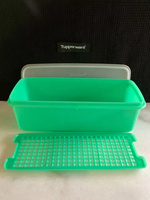 TUPPERWARE Retro Vintage Crisper 3 Piece Celery Vegetable Keeper Jadeite Green