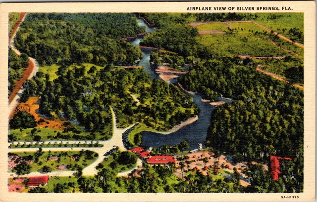 Silver Springs FL- Florida, Aerial View, Silver Springs, Vintage Postcard