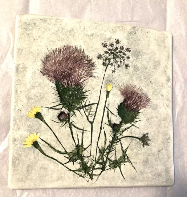 Salt Marsh Pottery Tile Flowers Thistle 8” Trivet Wall Hanging Impressed Design