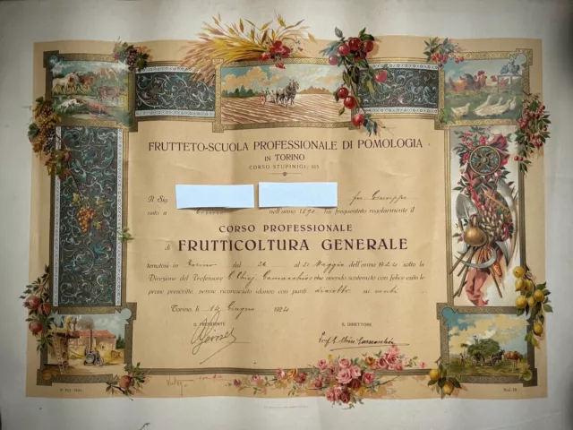 DIPLOMA DI FRUTTICOLTURA GENERALE-Cromolitho- 1924-