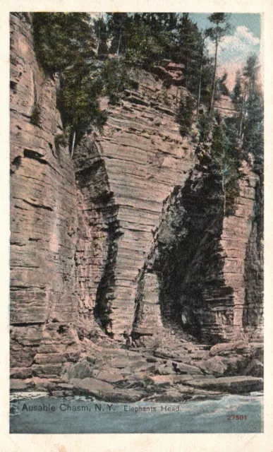 Postcard NY Ausable Chasm New York Elephant's Head Antique Vintage PC e8469