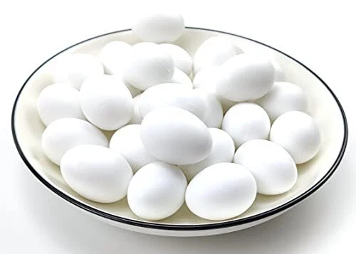 Lot de 10 œufs factices faux œufs de pigeons en plastique solide œufs factices p