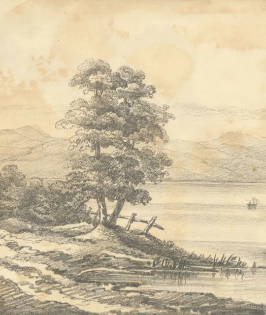 Henry William Burgess, Lakeside Tree Study – Original c.1830s graphite drawing