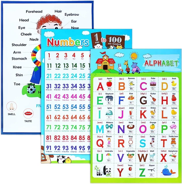 3 PIECE EDUCATIONAL Poster Laminated Wall Learning Chart Number ...