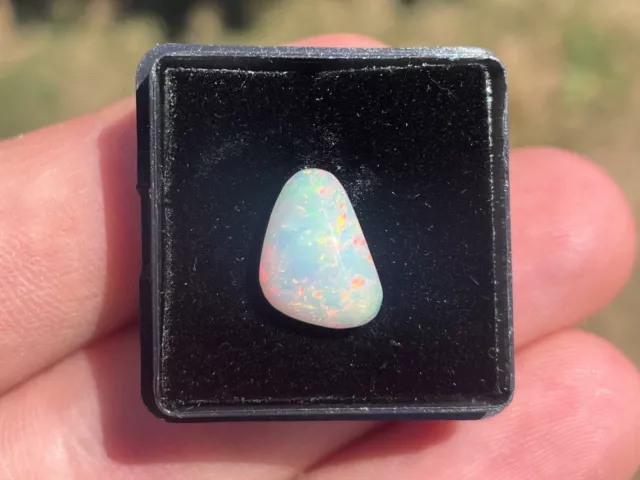 Gems Opale Multi-Couleur Cabochon Ethiopia 2,7 CT