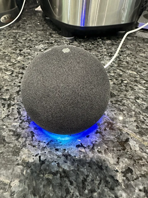 b7w64e echo dot