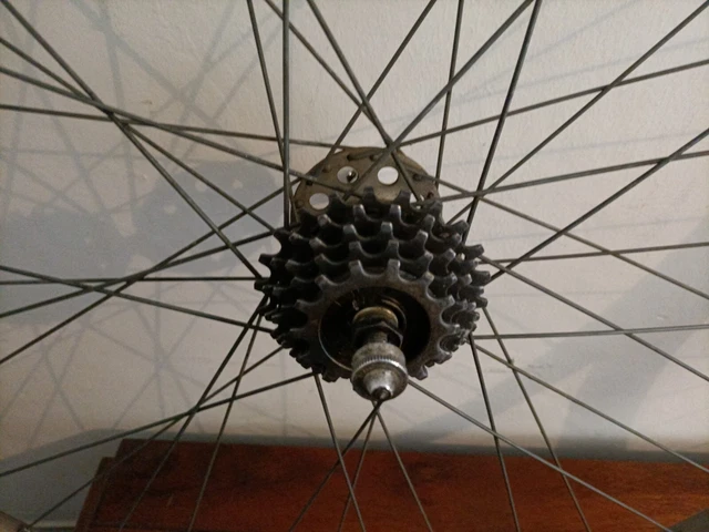 Set di mozzi NOS Campagnolo Record / Mozzi VR + HR a 32 fori | Studio Brisant