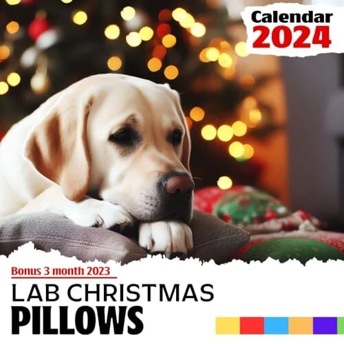 LAB CHRISTMAS PILLOWS Calendar 2024 Jan 2024 to Dec 2024 Bonus 3 Months