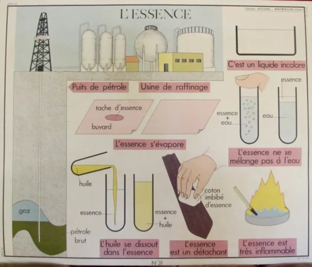 affiche scolaire école Rossignol leçons de choses l'essence, le bois