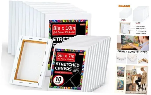 PHOENIX Stretched Canvas for Painting 12x16 Inch/6 Value Pack