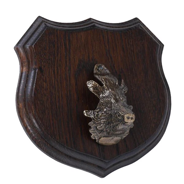 1x Armas Jabalí Escudo de Trofeo Escudo, Af 17cm Con Jabalí Cabeza Grande