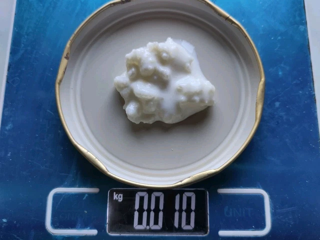 Grains De Kéfir De Lait 10g - Produit 100% Pur, Qualité Excellente, Avec Recette Incluse - Neuf
