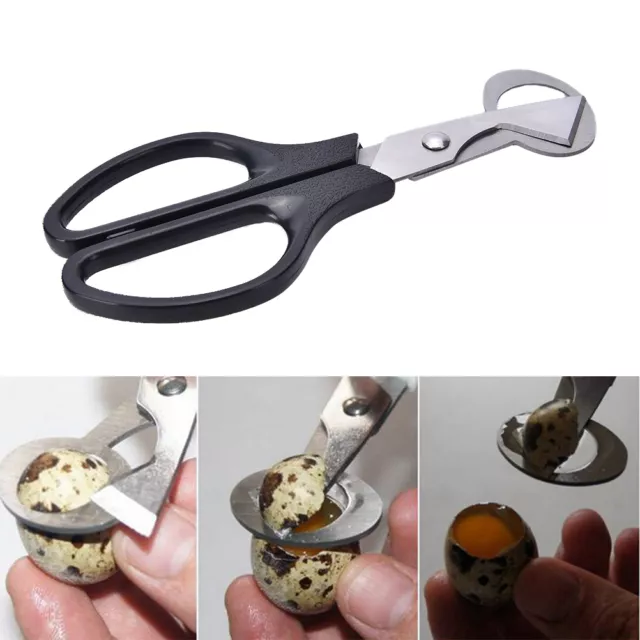Quail Egg Scissors Cracker Opener Cigar Cutter Stainless Steel Tool