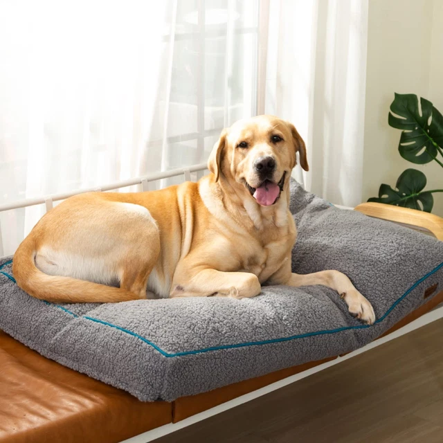 Dog Bed For Small Medium Large Pets Cat Puppy Bed Washable Soft Comfy Calming