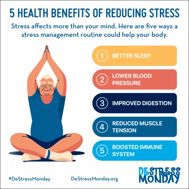 Extracto de raíz de maca, ayuda a aliviar el estrés, alivia los síntomas de la menopausia, mejora el estado de ánimo 2