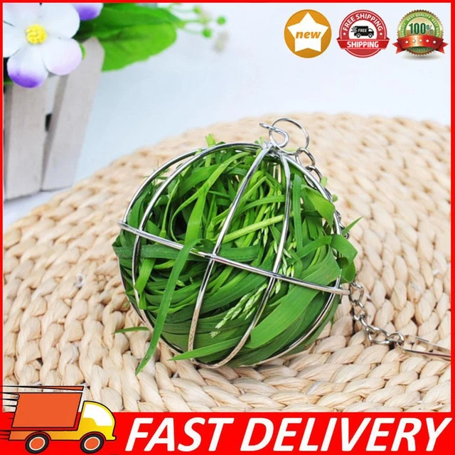 STAINLESS STEEL RABBIT Hay Feeder Hanging Hay Feeder Ball Grass Rack ...