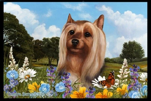 Summer Floor Mat - Silky Terrier 39102