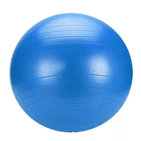 Yoga Gym Pilates Fit Anti Burst Swiss Ball With Pump 75cm Blue