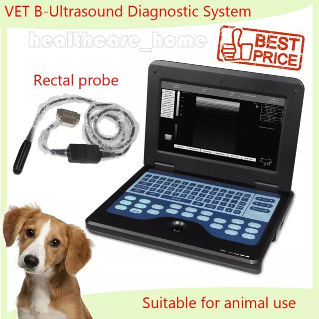 Veterinary CMS600P2VET notebook animal use B-ultrasound diagnostic system