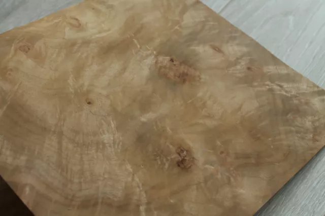 Myrtle burl wood veneer, 4 sheets ~9.8 x 9" (~25 x 23 cm), 0.55 mm (~1/45″)