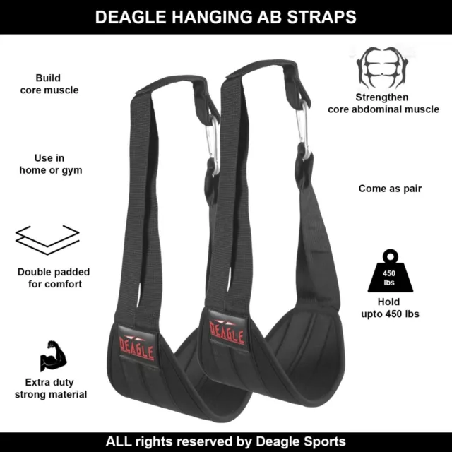 SPORTS Ab Straps for Men Women Abdominal Muscle Builder Hanging Ab Strap