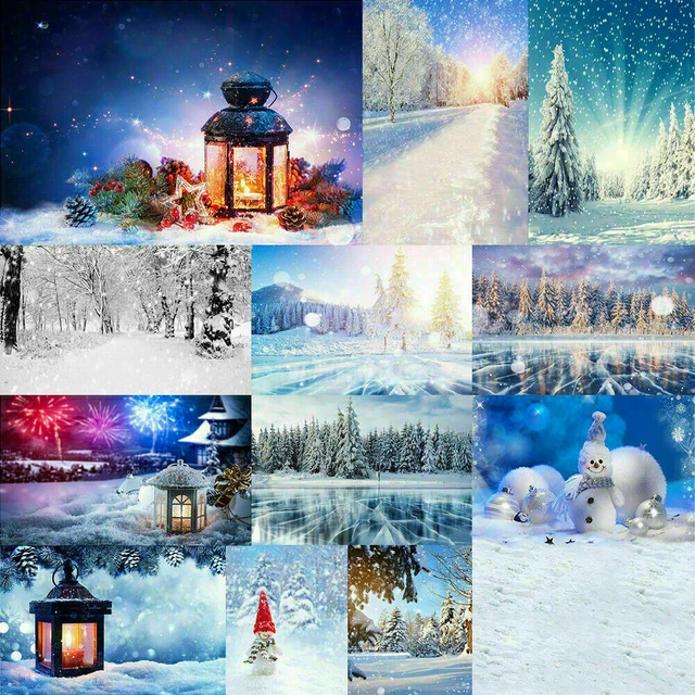 Photography Background Winter Snow Scene Photo Backdrops Decor