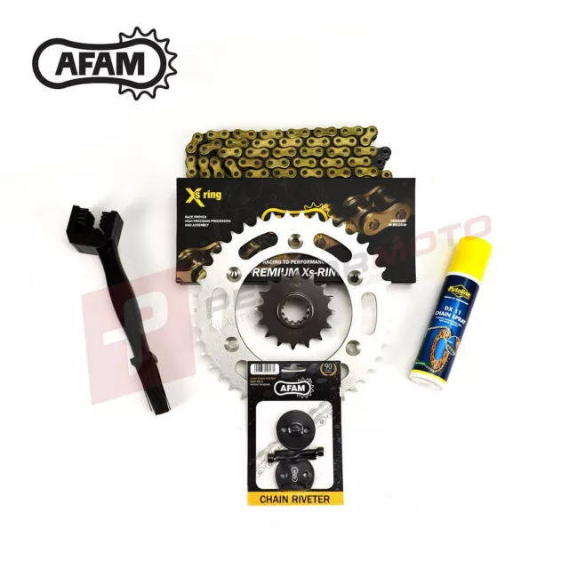 AFAM empfohlener XRING Goldkette Kettenrad Kit passt Honda TRX250X Fourtrax 87-92