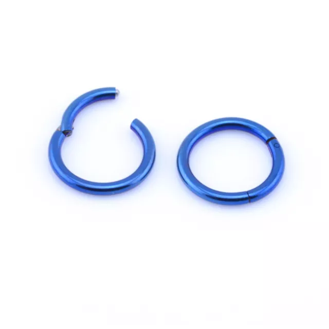 ANNEAU SEGMENT ARTICULÉ SEPTUM CLICKER NEZ TRAGUS différentes tailles et couleurs 3