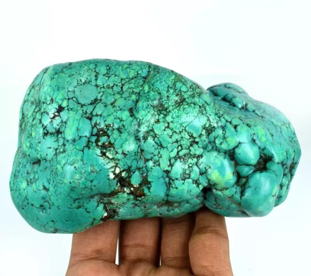 Treated Blue Turquoise Gemstone Rough Mineral Specimen 2491 Ct Natural Arizona