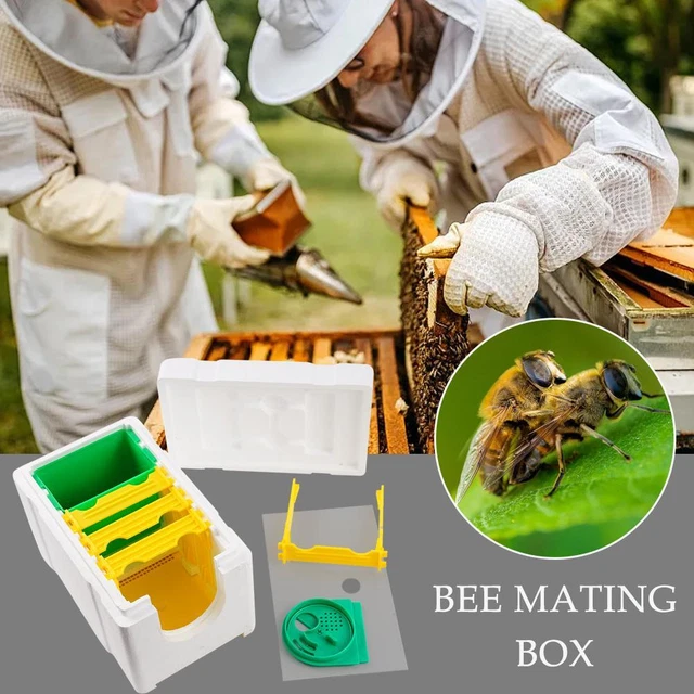 Bee Mating Nuc Hive Queen Bee Breeding Box High Density Box Beekeeping E6V8