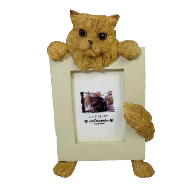 Tan Persian Cat Picture Photo Frame 2.5”x3.5” Glass Eyes E&S Imports Resin Kitty