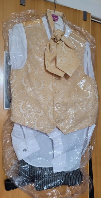 Baby/ Boy/ 4 PIECE Waistcoat Suit Kids Suit Smart Outfit set