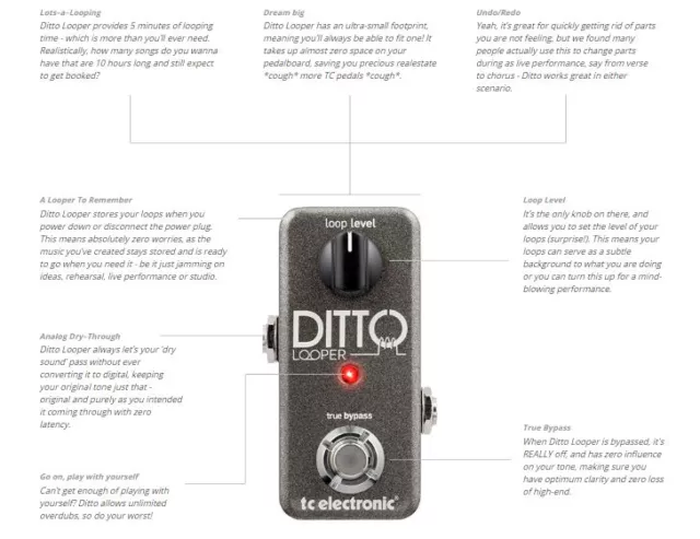 TC Electronic Ditto Looper Guitar Loop FX Pedal 5 Minutes Of Looping w/ Warranty 3