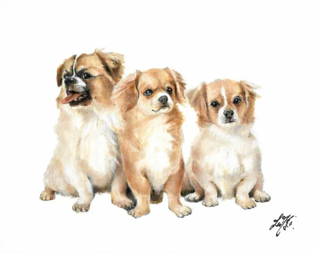 ❈ ORIGINAL Oil Portrait Painting TIBETAN SPANIEL Artist Signed Puppy Dog Artwork