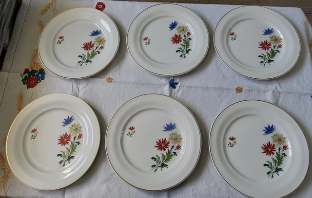 Assiettes Plates Céranord Saint Amand A Décor De Fleurs - Dalhias ? Lot De 6