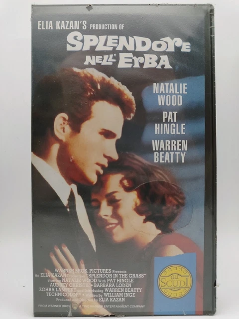 Splendor Vhs VHS FILM SPLENDORE NELL'ERBA natalie wood 1995 WARNER EUR 40,00 ...