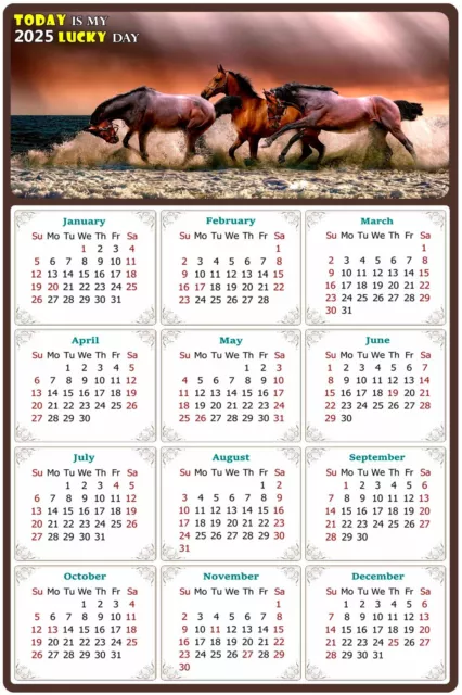 2025 Peel & Stick Calendar - Today is my Lucky Day Removable - Horses 01 9"x 6"