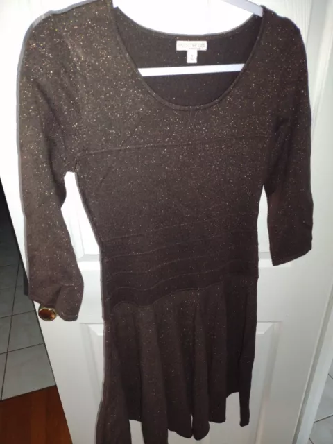 Eva Mendes Sweater Dress Size Small 3/4 Sleeve Knee Length