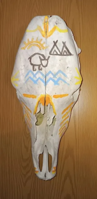 Real Unique Art Handpainted Cow Skull Western Indian Rustic Home Decor Hunting