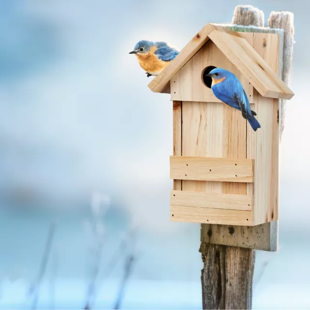 Nichoir à oiseaux en bois maison oiseaux à suspendre mésanges rouge-gorge pinson 2