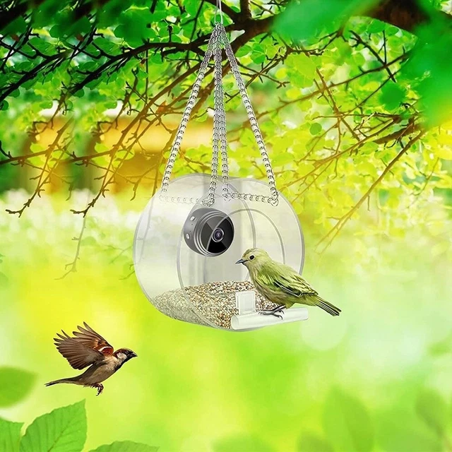 pour oiseaux Mangeoire d'oiseaux sauvages Fournitures pour oiseaux Avec caméra