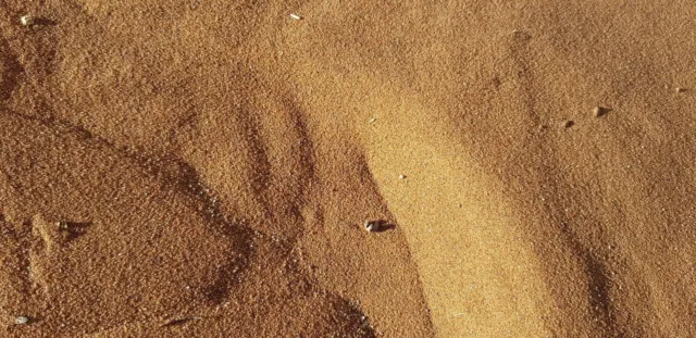 Wüstensand - Big Mama Düne - Sossusvlei - Namibia - Sand