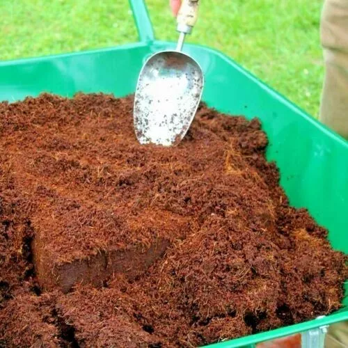 Large 60L Coco Coir Organic Peat Free Compost Reptile Snake Vivarium Block Brick