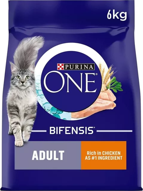 Purina ONE Adult Dry Cat Food Rich in Chicken 6kg,package may vary 6kg