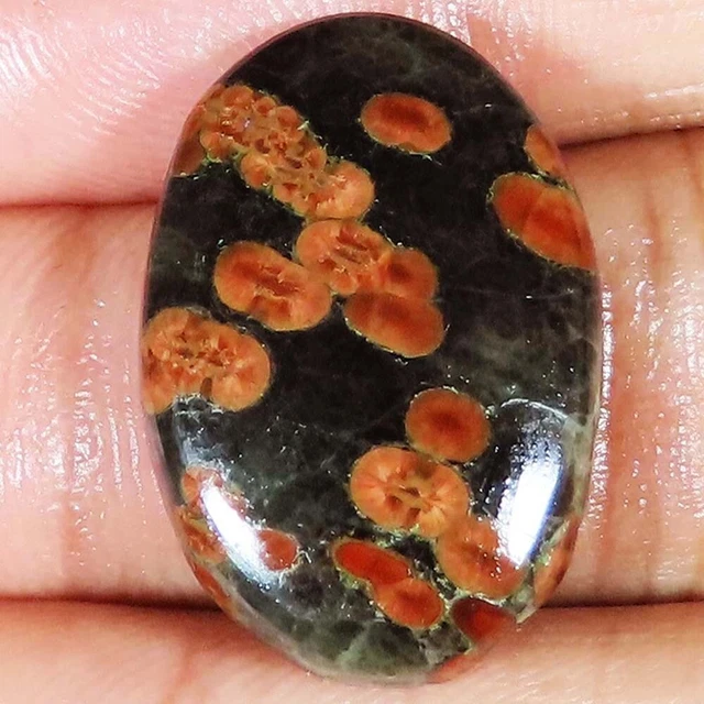 (18x26x05 MM Größe) 20.70 Cts. Natürlich Erdnuss Obsidian Ovale Form Lose